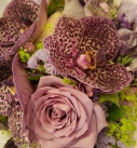 20150509_124315