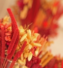 Boutique Fleuriste Cossonay