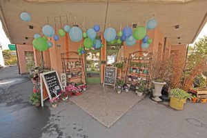Magasin Fleuriste Cossonay