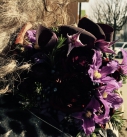 image12